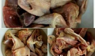 怎样的海参才是好海参