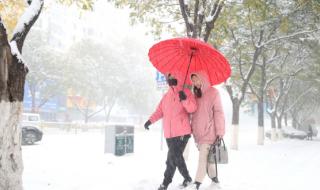 辽宁高速封闭路况查询今天