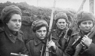 都是爱情惹的祸剧情介绍 都是爱情惹的祸剧情介绍