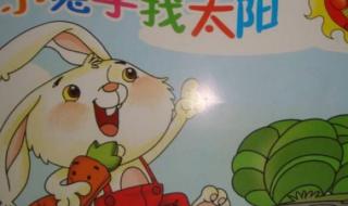 老师的小兔子好大好粉图片