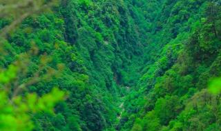 峨眉山位于我国哪个省