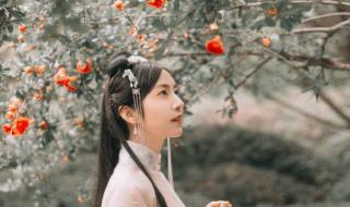 西安led显示屏租赁 西安led显示屏租赁