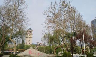 西安外事学院有什么不一样的 西安外事学院网课视频