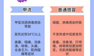 如何确定自己得了甲流