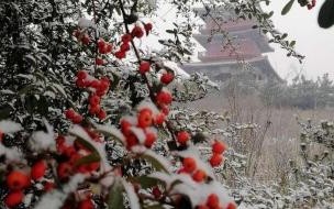 今天河南都是哪里下雪了 河南下雪最新情况今天