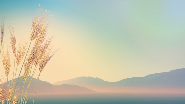 以前本兮到底是不是被童可可关地下室了 本兮被关在地下室视频